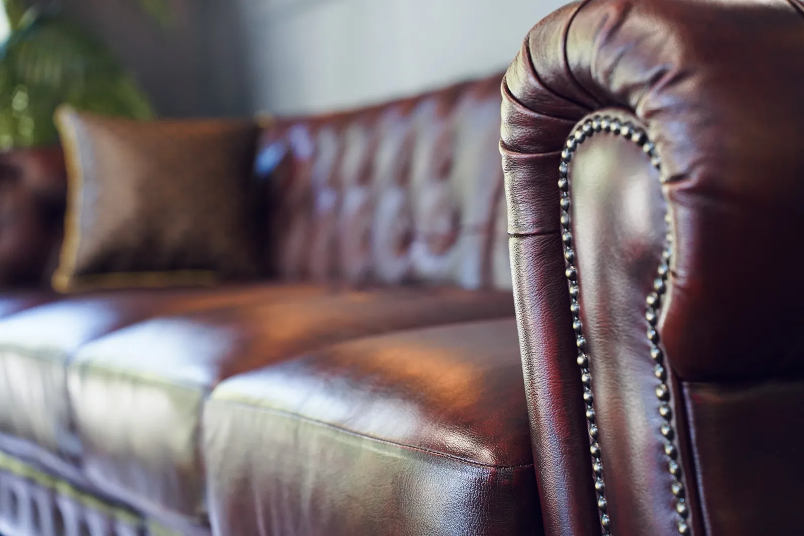 Unsere Lounge: Chesterfield-Sofa und Couchtisch Amberley